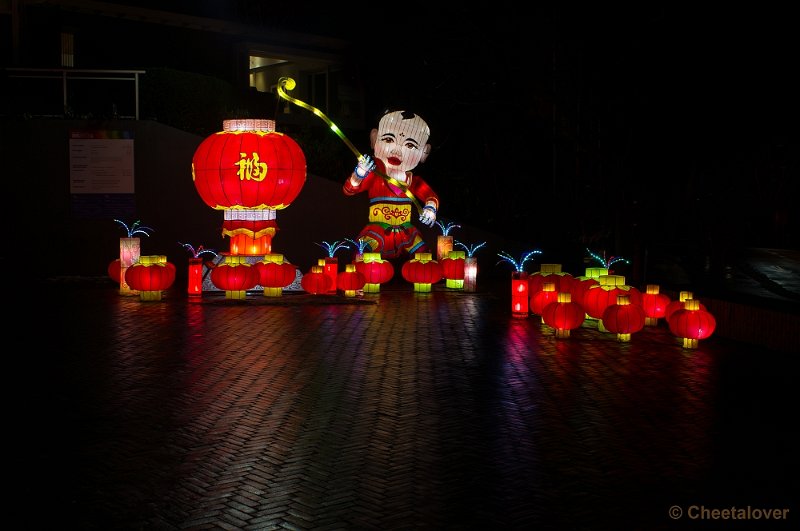 _DSC3296.JPG - China Lights in Burger's Zoo